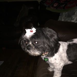 Meet your Posher, Kim